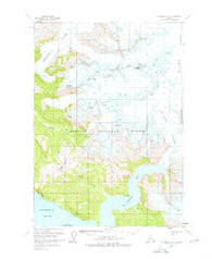 Petersburg D-2 Alaska Historical topographic map, 1:63360 scale, 15 X 15 Minute, Year 1961