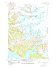 Petersburg D-2 Alaska Historical topographic map, 1:63360 scale, 15 X 15 Minute, Year 1961