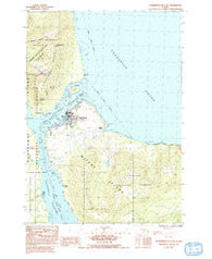Petersburg D-3 SW Alaska Historical topographic map, 1:25000 scale, 7.5 X 7.5 Minute, Year 1992