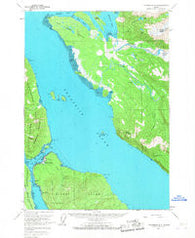 Petersburg D-3 Alaska Historical topographic map, 1:63360 scale, 15 X 15 Minute, Year 1961