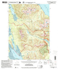 Petersburg D-4 Alaska Historical topographic map, 1:63360 scale, 15 X 15 Minute, Year 1995