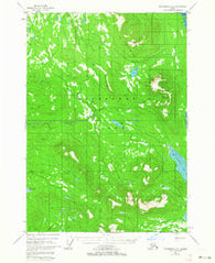 Petersburg D-5 Alaska Historical topographic map, 1:63360 scale, 15 X 15 Minute, Year 1948