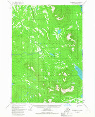 Petersburg D-5 Alaska Historical topographic map, 1:63360 scale, 15 X 15 Minute, Year 1948