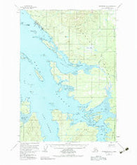 Petersburg D-6 Alaska Historical topographic map, 1:63360 scale, 15 X 15 Minute, Year 1951