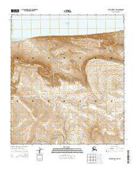 Point Hope D-1 SW Alaska Current topographic map, 1:25000 scale, 7.5 X 7.5 Minute, Year 2014