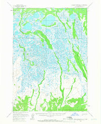 Russian Mission B-2 Alaska Historical topographic map, 1:63360 scale, 15 X 15 Minute, Year 1952
