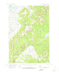 Russian Mission D-1 Alaska Historical topographic map, 1:63360 scale, 15 X 15 Minute, Year 1952