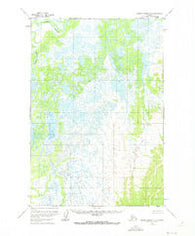 Russian Mission D-2 Alaska Historical topographic map, 1:63360 scale, 15 X 15 Minute, Year 1952