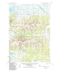 Russian Mission D-8 Alaska Historical topographic map, 1:63360 scale, 15 X 15 Minute, Year 1952