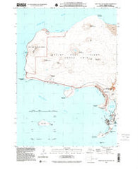 Saint Paul Island West Alaska Historical topographic map, 1:25000 scale, 7.5 X 7.5 Minute, Year 2001
