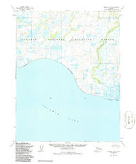 Selawik C-4 Alaska Historical topographic map, 1:63360 scale, 15 X 15 Minute, Year 1955