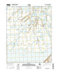 Selawik C-5 SW Alaska Current topographic map, 1:25000 scale, 7.5 X 7.5 Minute, Year 2016