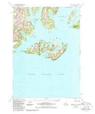 Seward D-1 Alaska Historical topographic map, 1:63360 scale, 15 X 15 Minute, Year 1951