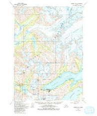 Seward D-5 Alaska Historical topographic map, 1:63360 scale, 15 X 15 Minute, Year 1951