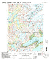 Seward D-5 Alaska Historical topographic map, 1:63360 scale, 15 X 15 Minute, Year 1995