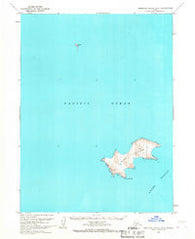 Simeonof Island D-3 Alaska Historical topographic map, 1:63360 scale, 15 X 15 Minute, Year 1963