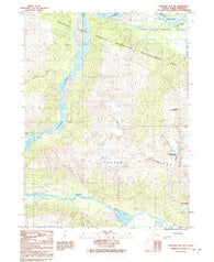 Skagway B-3 SW Alaska Historical topographic map, 1:25000 scale, 7.5 X 7.5 Minute, Year 1991