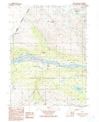 Skagway B-4 NE Alaska Historical topographic map, 1:25000 scale, 7.5 X 7.5 Minute, Year 1992