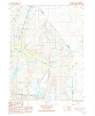 Skagway C-1 SE Alaska Historical topographic map, 1:25000 scale, 7.5 X 7.5 Minute, Year 1992