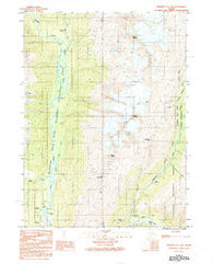 Skagway C-1 SW Alaska Historical topographic map, 1:25000 scale, 7.5 X 7.5 Minute, Year 1991