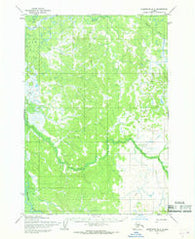 Sleetmute B-2 Alaska Historical topographic map, 1:63360 scale, 15 X 15 Minute, Year 1954