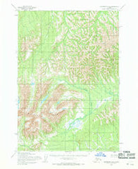 Sleetmute B-5 Alaska Historical topographic map, 1:63360 scale, 15 X 15 Minute, Year 1954
