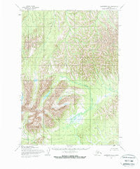 Sleetmute B-5 Alaska Historical topographic map, 1:63360 scale, 15 X 15 Minute, Year 1954
