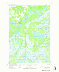 Sleetmute C-3 Alaska Historical topographic map, 1:63360 scale, 15 X 15 Minute, Year 1954