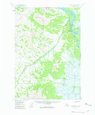 Sleetmute C-4 Alaska Historical topographic map, 1:63360 scale, 15 X 15 Minute, Year 1954