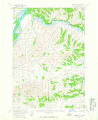 Sleetmute C-6 Alaska Historical topographic map, 1:63360 scale, 15 X 15 Minute, Year 1954