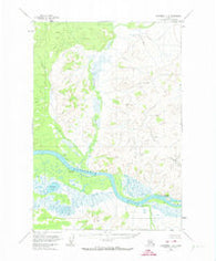Sleetmute C-8 Alaska Historical topographic map, 1:63360 scale, 15 X 15 Minute, Year 1954