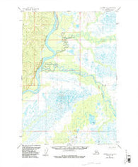 Sleetmute D-1 Alaska Historical topographic map, 1:63360 scale, 15 X 15 Minute, Year 1954