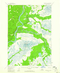 Sleetmute D-1 Alaska Historical topographic map, 1:63360 scale, 15 X 15 Minute, Year 1954