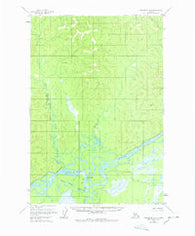 Sleetmute D-2 Alaska Historical topographic map, 1:63360 scale, 15 X 15 Minute, Year 1954