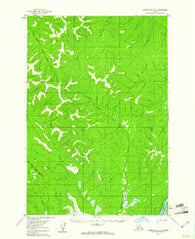 Sleetmute D-3 Alaska Historical topographic map, 1:63360 scale, 15 X 15 Minute, Year 1954