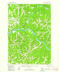 Sleetmute D-5 Alaska Historical topographic map, 1:63360 scale, 15 X 15 Minute, Year 1954