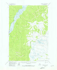 Sleetmute D-8 Alaska Historical topographic map, 1:63360 scale, 15 X 15 Minute, Year 1954