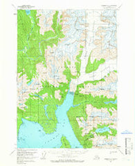 Sumdum A-3 Alaska Historical topographic map, 1:63360 scale, 15 X 15 Minute, Year 1961