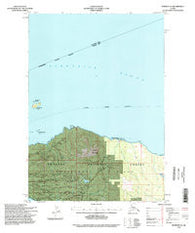 Sumdum A-6 Alaska Historical topographic map, 1:63360 scale, 15 X 15 Minute, Year 1994