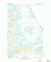 Sumdum C-3 Alaska Historical topographic map, 1:63360 scale, 15 X 15 Minute, Year 1961