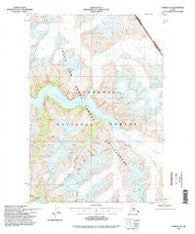 Sumdum D-4 Alaska Historical topographic map, 1:63360 scale, 15 X 15 Minute, Year 1994