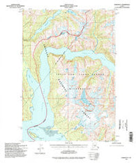 Sumdum D-5 Alaska Historical topographic map, 1:63360 scale, 15 X 15 Minute, Year 1994