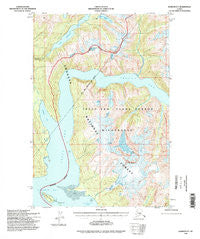 Sumdum D-5 Alaska Historical topographic map, 1:63360 scale, 15 X 15 Minute, Year 1994