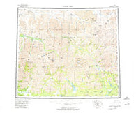 Survey Pass Alaska Historical topographic map, 1:250000 scale, 1 X 3 Degree, Year 1956