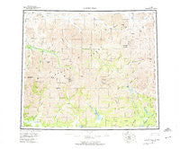 Survey Pass Alaska Historical topographic map, 1:250000 scale, 1 X 3 Degree, Year 1956