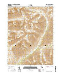 Survey Pass B-4 SW Alaska Current topographic map, 1:25000 scale, 7.5 X 7.5 Minute, Year 2016