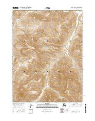 Survey Pass C-1 NE Alaska Current topographic map, 1:25000 scale, 7.5 X 7.5 Minute, Year 2016