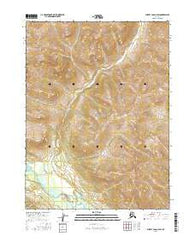 Survey Pass C-2 SW Alaska Current topographic map, 1:25000 scale, 7.5 X 7.5 Minute, Year 2016