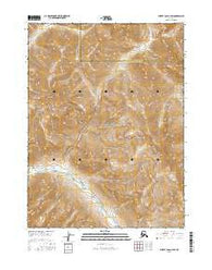 Survey Pass C-4 SW Alaska Current topographic map, 1:25000 scale, 7.5 X 7.5 Minute, Year 2016