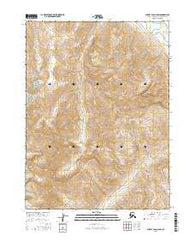 Survey Pass C-5 SW Alaska Current topographic map, 1:25000 scale, 7.5 X 7.5 Minute, Year 2016
